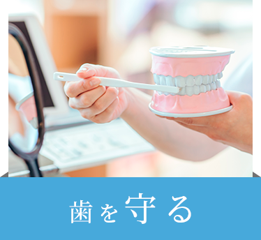 歯を守る